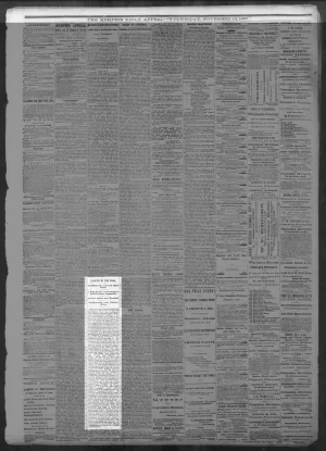 Memphis Daily Appeal, 11/13/1867