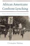 Cover of African Americans Confront Lynching.